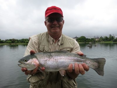 Big Rainbow Japan