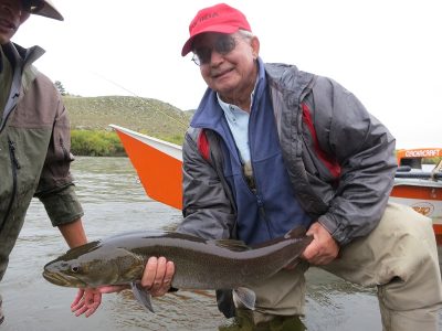 Taimen Mongolia